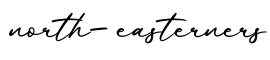 单词north-easterners书写