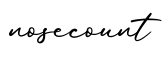 单词nosecount书写