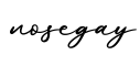 单词nosegay书写