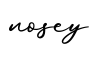 单词nosey书写