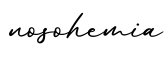 单词nosohemia书写