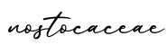 单词nostocaceae书写