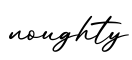 单词noughty书写