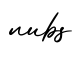 单词nubs书写