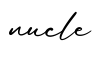 单词nucle书写