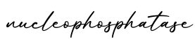 单词nucleophosphatase书写