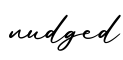 单词nudged书写