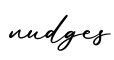 单词nudges书写
