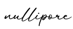 单词nullipore书写