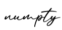 单词numpty书写