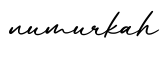 单词numurkah书写