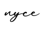 单词nyce书写