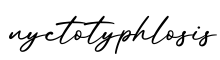 单词nyctotyphlosis书写