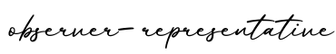 单词observer-representative书写
