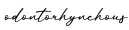 单词odontorhynchous书写