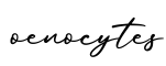 单词oenocytes书写