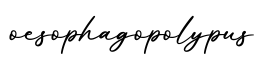 单词oesophagopolypus书写