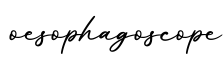 单词oesophagoscope书写