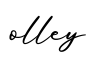 单词olley书写