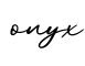 单词onyx书写