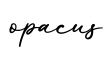 单词opacus书写
