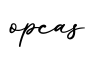 单词opcas书写