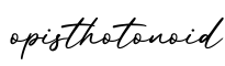 单词opisthotonoid书写