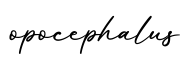 单词opocephalus书写