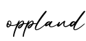 单词oppland书写