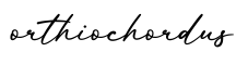 单词orthiochordus书写
