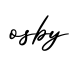 单词osby书写