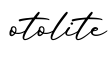 单词otolite书写