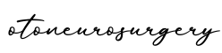 单词otoneurosurgery书写