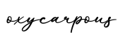 单词oxycarpous书写