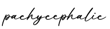 单词pachycephalic书写