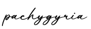 单词pachygyria书写