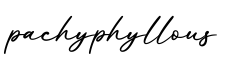 单词pachyphyllous书写