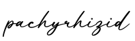 单词pachyrhizid书写