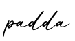 单词padda书写