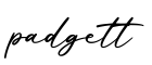 单词padgett书写