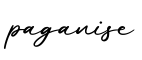 单词paganise书写