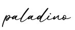 单词paladino书写
