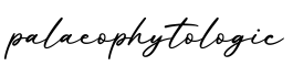 单词palaeophytologic书写