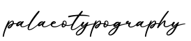 单词palaeotypography书写