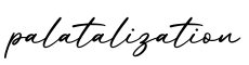 单词palatalization书写