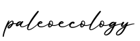 单词paleoecology书写