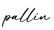 单词pallin书写