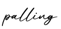 单词palling书写