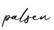 单词palsen书写