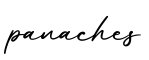 单词panaches书写